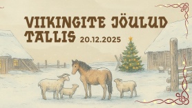 Viikingite jöulud tallis